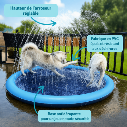 Aquapatte™ — Leur coin fraîcheur préféré tout l’été.