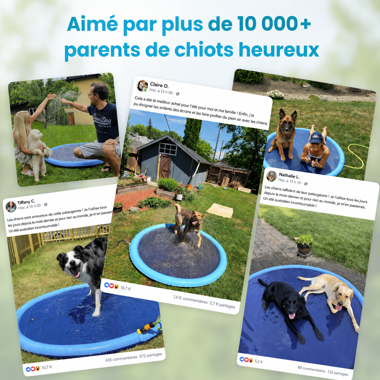 Aquapatte™ — Leur coin fraîcheur préféré tout l’été.