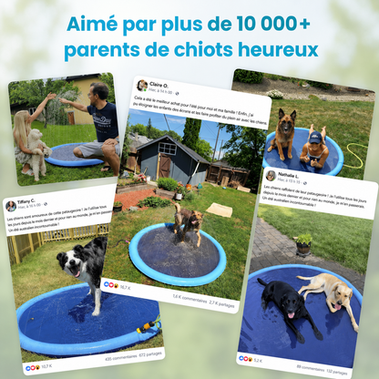 Aquapatte™ — Leur coin fraîcheur préféré tout l’été.