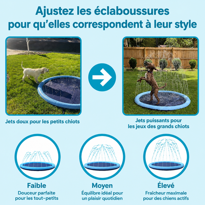 Aquapatte™ — Leur coin fraîcheur préféré tout l’été.