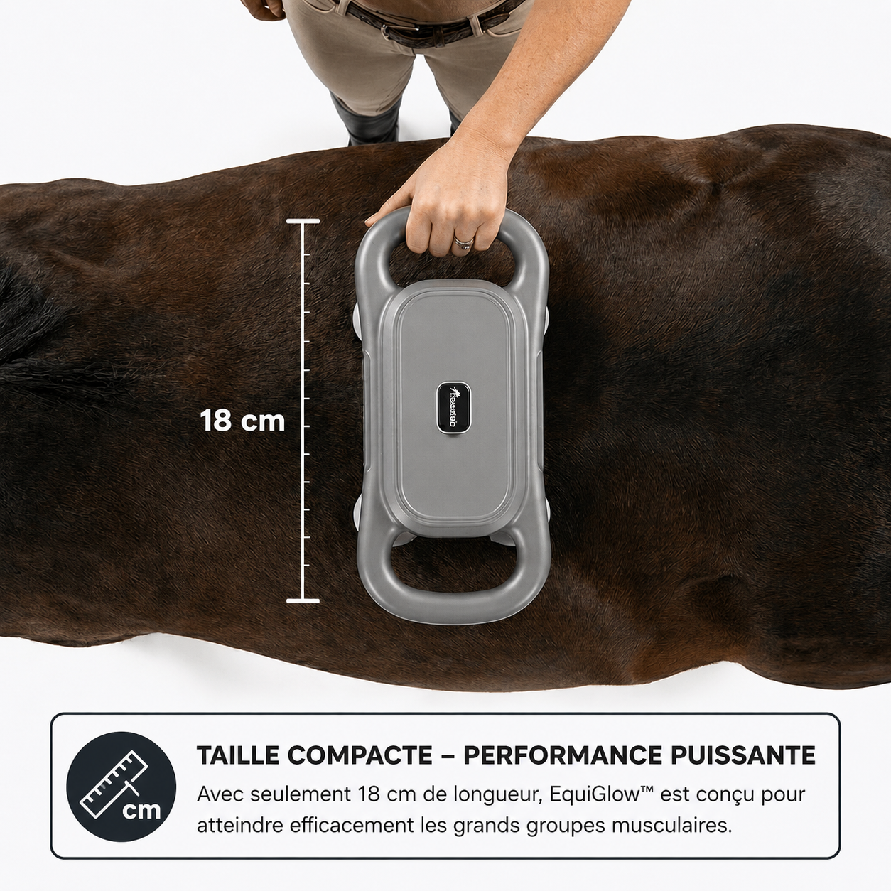 EquiGlow™ — Offrez à votre cheval une récupération d’exception