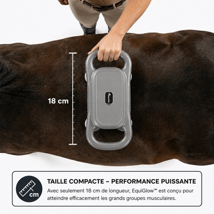 EquiGlow™ — Offrez à votre cheval une récupération d’exception