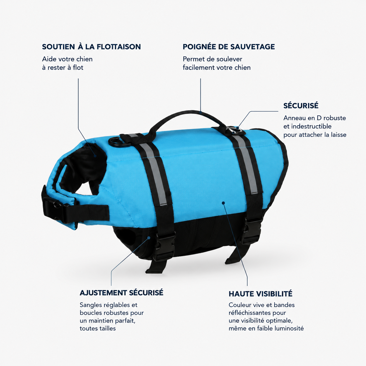 Caniflot™ — La sécurité de votre chien à chaque baignade.