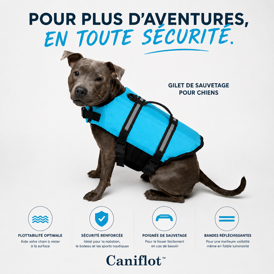 Caniflot™ — La sécurité de votre chien à chaque baignade.