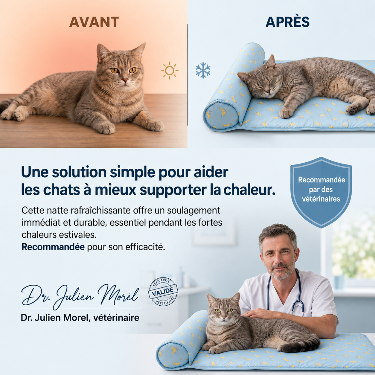 FreshNest™ — L'espace préféré pour rester au frais.