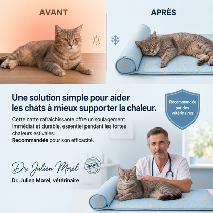 FreshNest™ — L'espace préféré pour rester au frais.