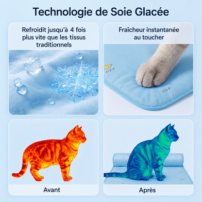 FreshNest™ — L'espace préféré pour rester au frais.