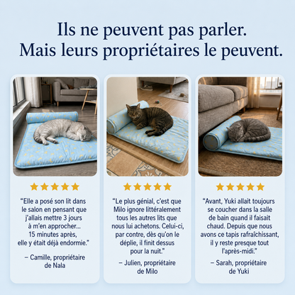 FreshNest™ — L'espace préféré pour rester au frais.
