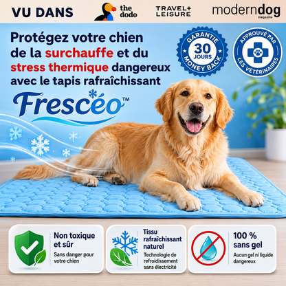 Frescéo™ — Leur endroit préféré pendant les fortes chaleurs.