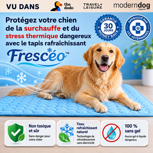 Frescéo™ — Leur endroit préféré pendant les fortes chaleurs.