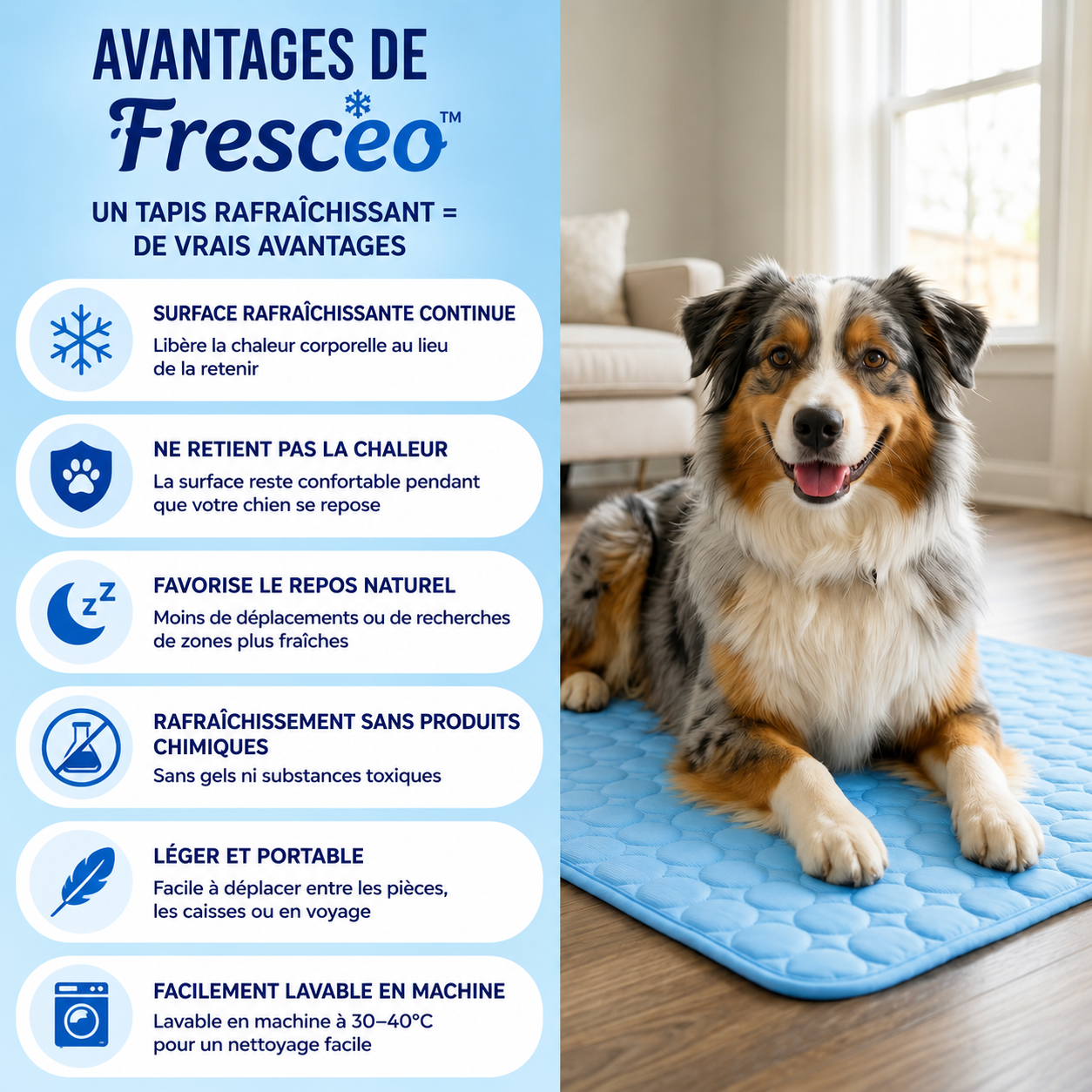 Frescéo™ — Leur endroit préféré pendant les fortes chaleurs.