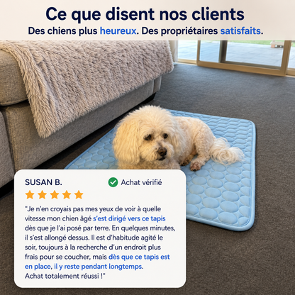 Frescéo™ — Leur endroit préféré pendant les fortes chaleurs.