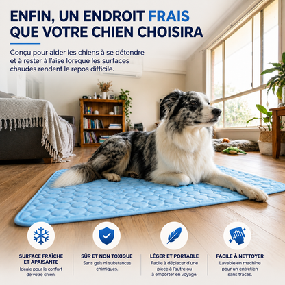 Frescéo™ — Leur endroit préféré pendant les fortes chaleurs.