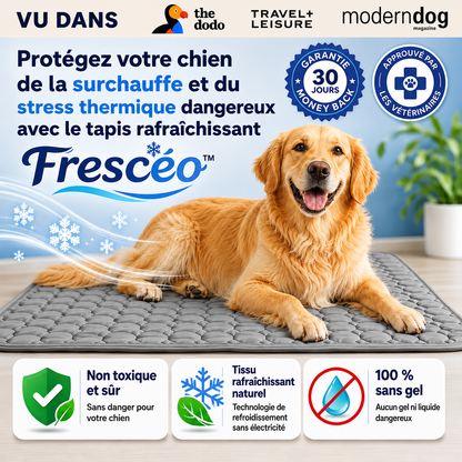 Frescéo™ — Leur endroit préféré pendant les fortes chaleurs.