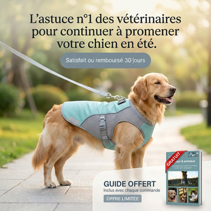 CoolPatte™ — La fraîcheur pour chaque balade.