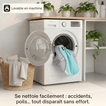 CoolPatte™ — La fraîcheur pour chaque balade.