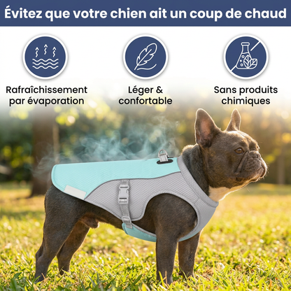 CoolPatte™ — La fraîcheur pour chaque balade.