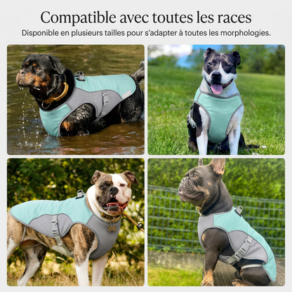 CoolPatte™ — La fraîcheur pour chaque balade.