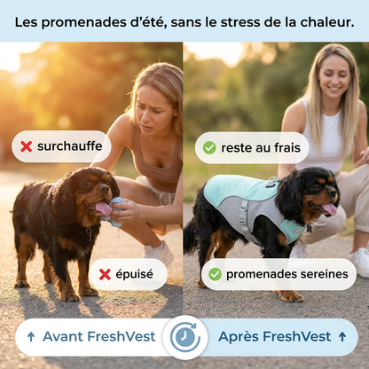 CoolPatte™ — La fraîcheur pour chaque balade.