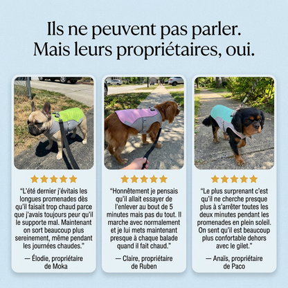 CoolPatte™ — La fraîcheur pour chaque balade.