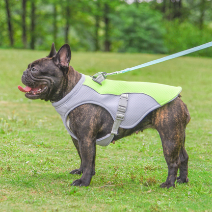 CoolPatte™ — La fraîcheur pour chaque balade.