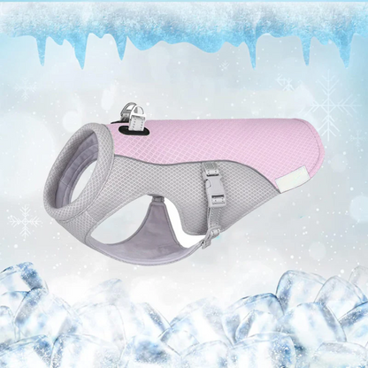 CoolPatte™ — La fraîcheur pour chaque balade.