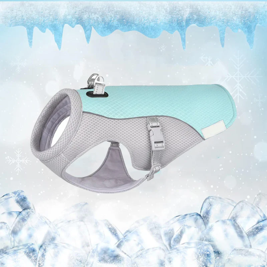 CoolPatte™ — La fraîcheur pour chaque balade.