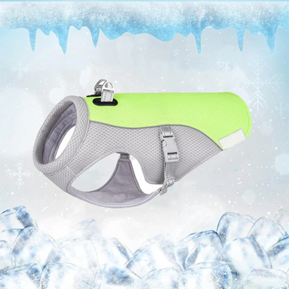 CoolPatte™ — La fraîcheur pour chaque balade.