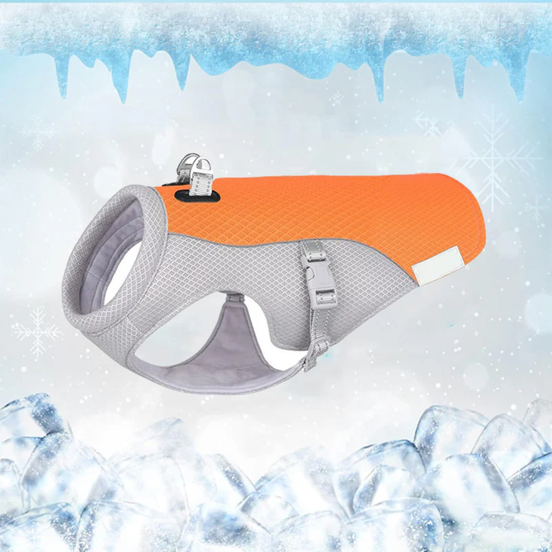 CoolPatte™ — La fraîcheur pour chaque balade.